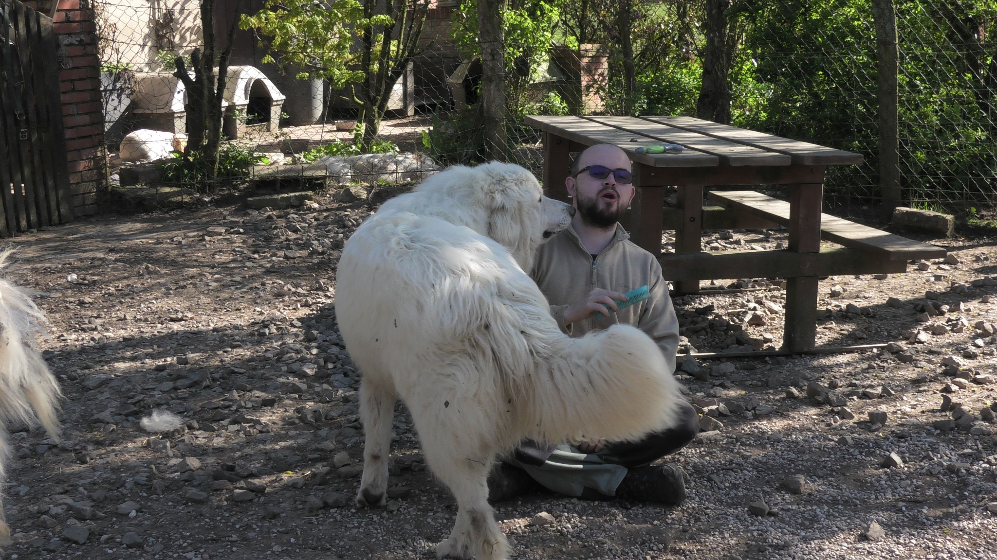 Quentin avec un chien
