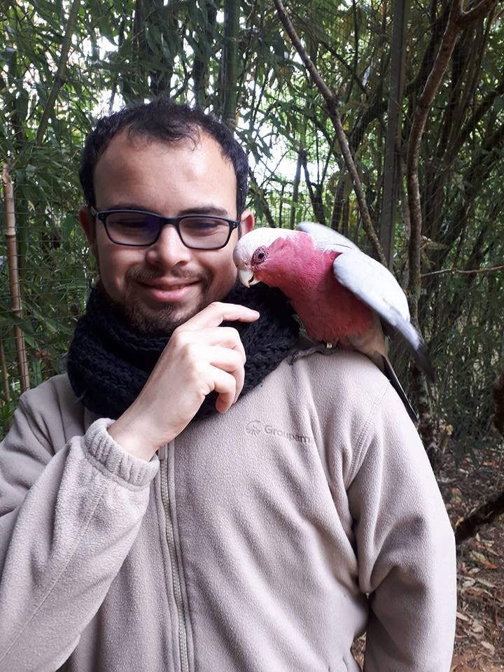 Quentin au contact d'un oiseau